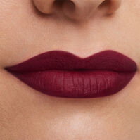 Pure Color Matte Lipstick   2